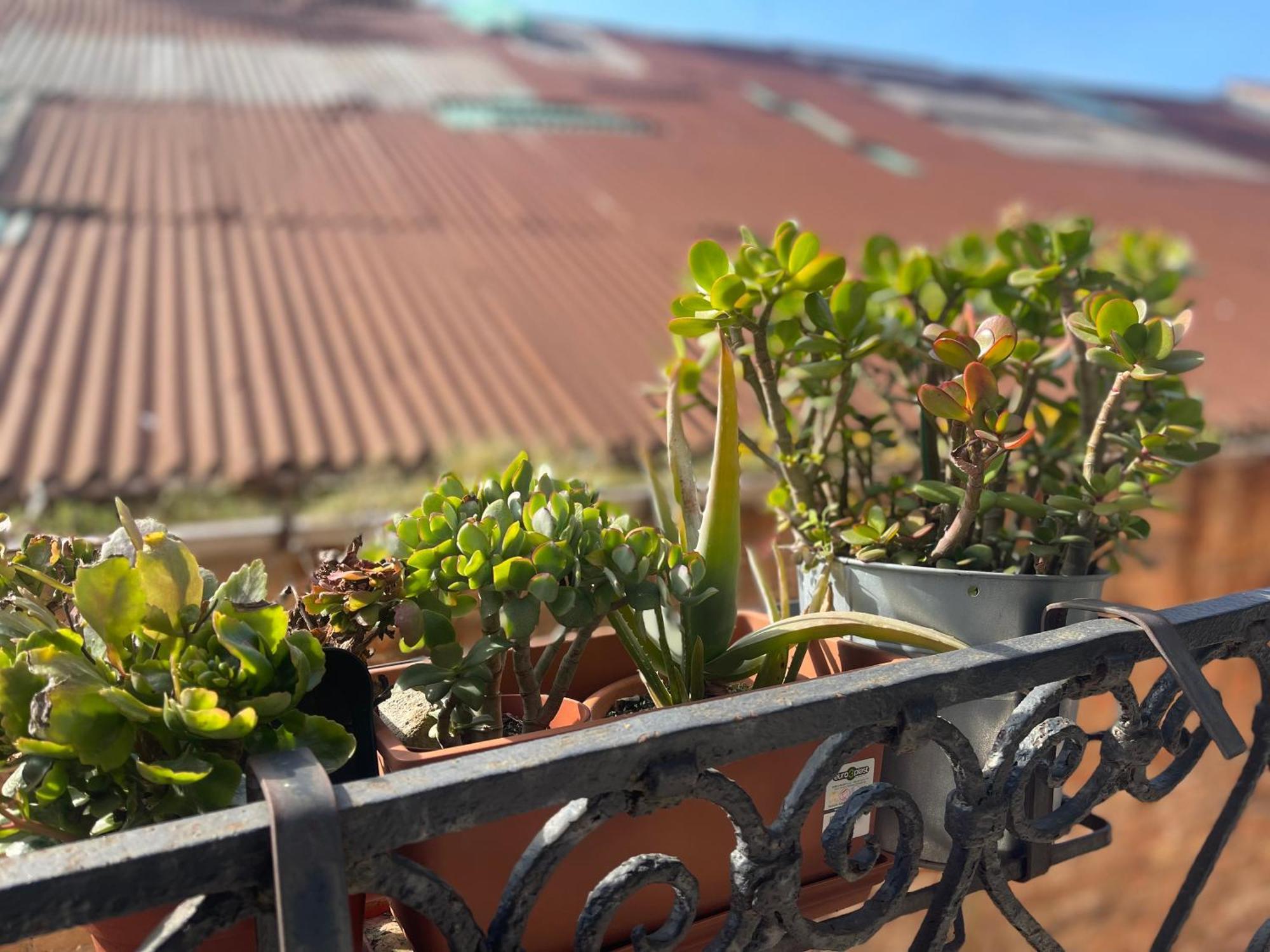 Santa Caterina Hotel Velence Kültér fotó